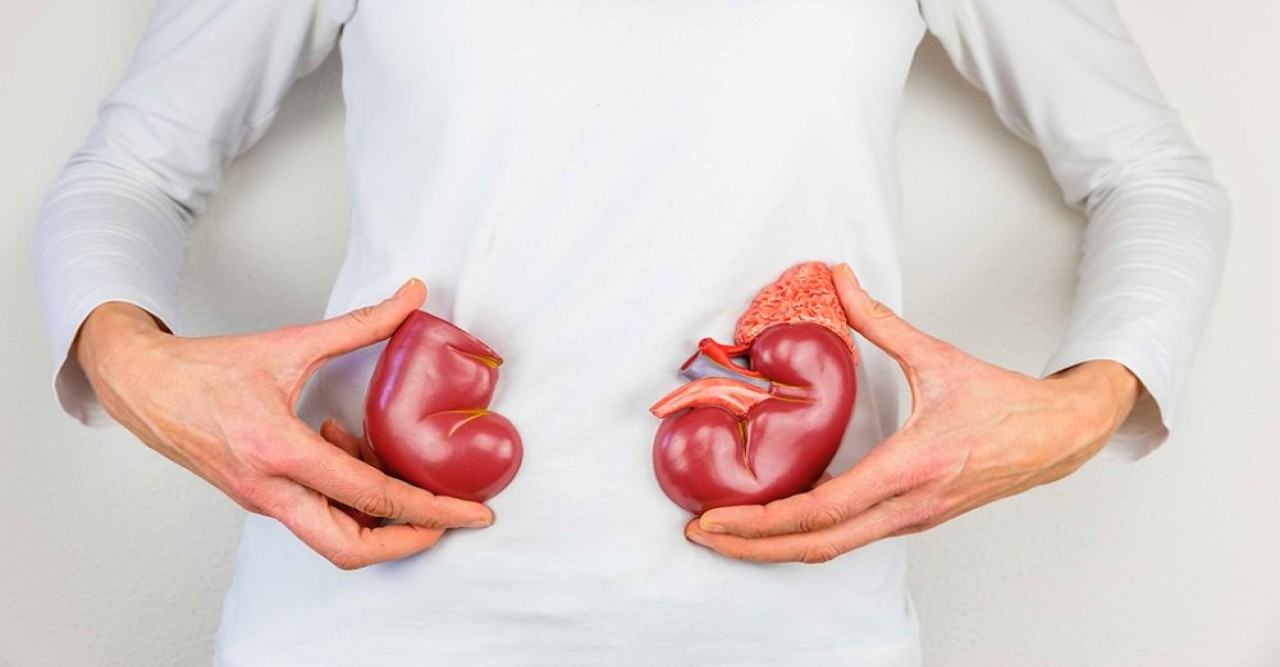 কিডনির স্বাস্থ্য ভালো রাখে যে ডাল