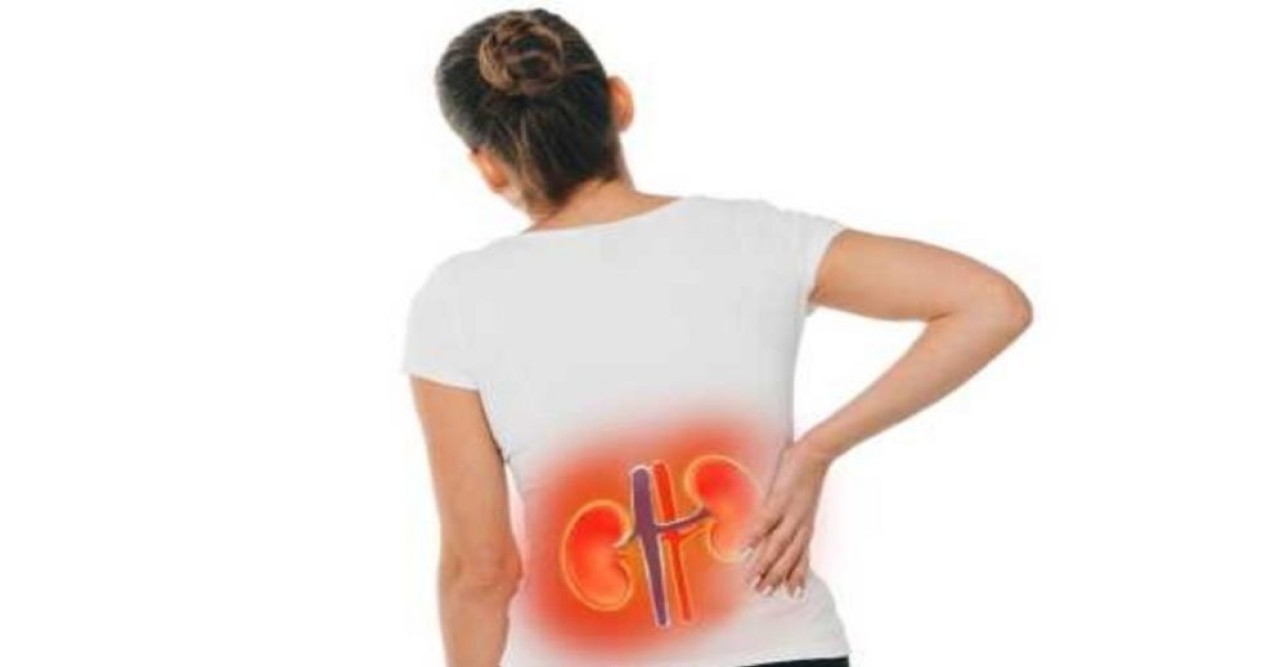 বেশিরভাগ নারী কিডনির ক্রনিক রোগে ভোগেন,জেনে নিন কারণ