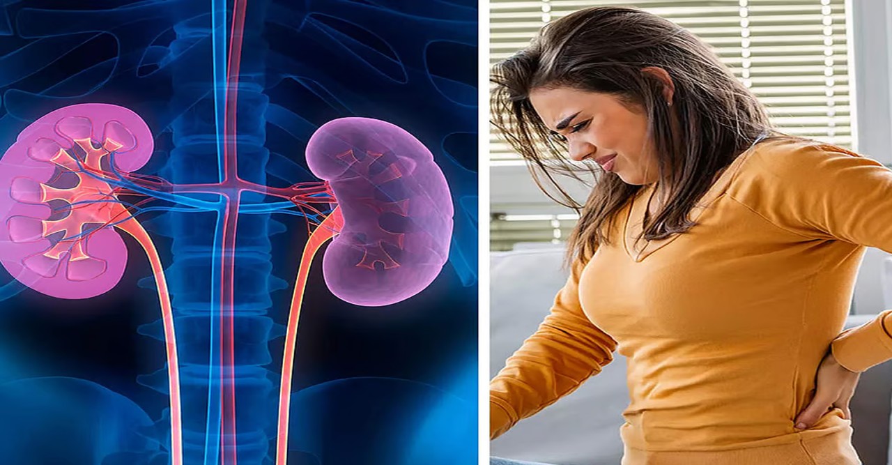 কিডনির সমস্যা হলে কোথায় কোথায় ব্যথা হয়?