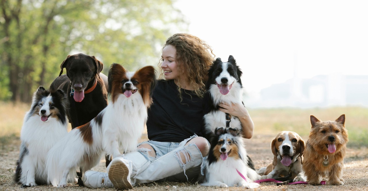 পোষা প্রাণী কি আমাদের শিক্ষক