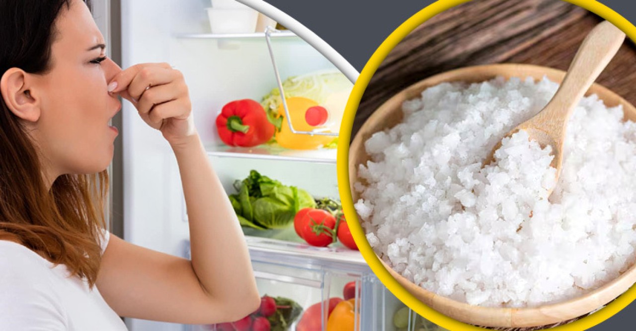 একবাটি লবণে দূর হবে ফ্রিজের দুর্গন্ধ