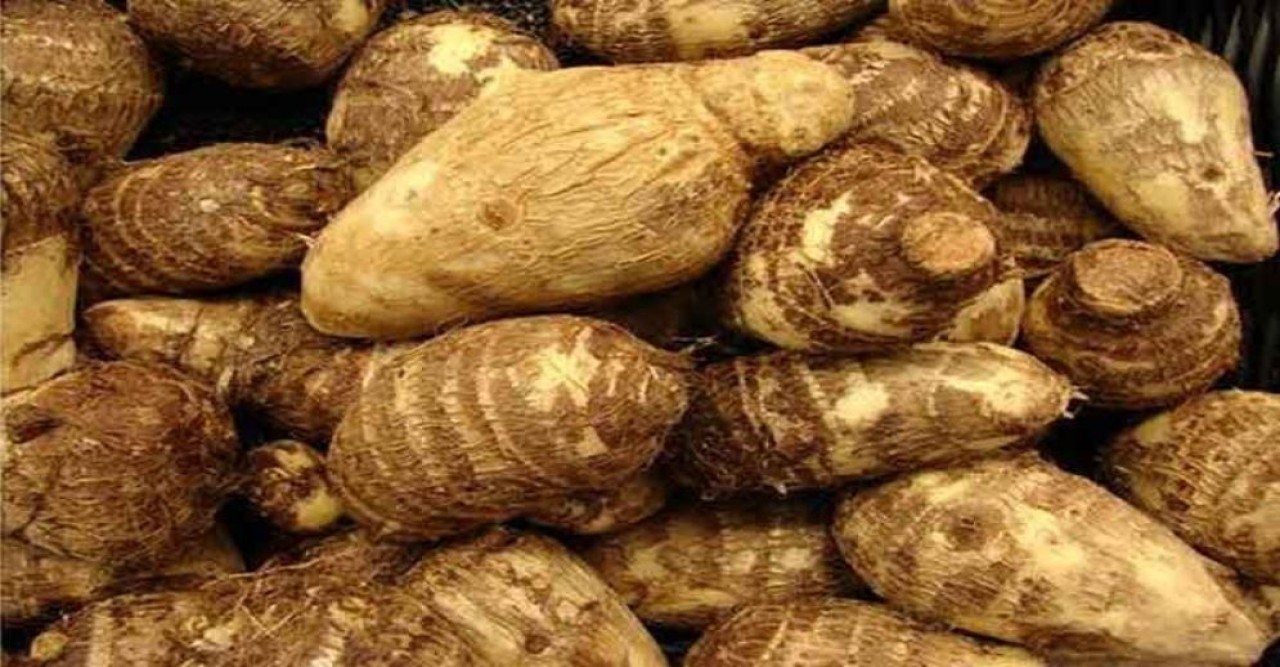 কচু খেলে গলা-হাত চুলকানির সমাধান যেভাবে