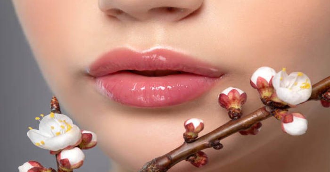 তুলতুলে কোমল ঠোঁট পেতে যা করবেন