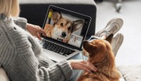 কুকুরের ভিডিও দেখলে কমে মানসিক চাপ, বলছে গবেষণা